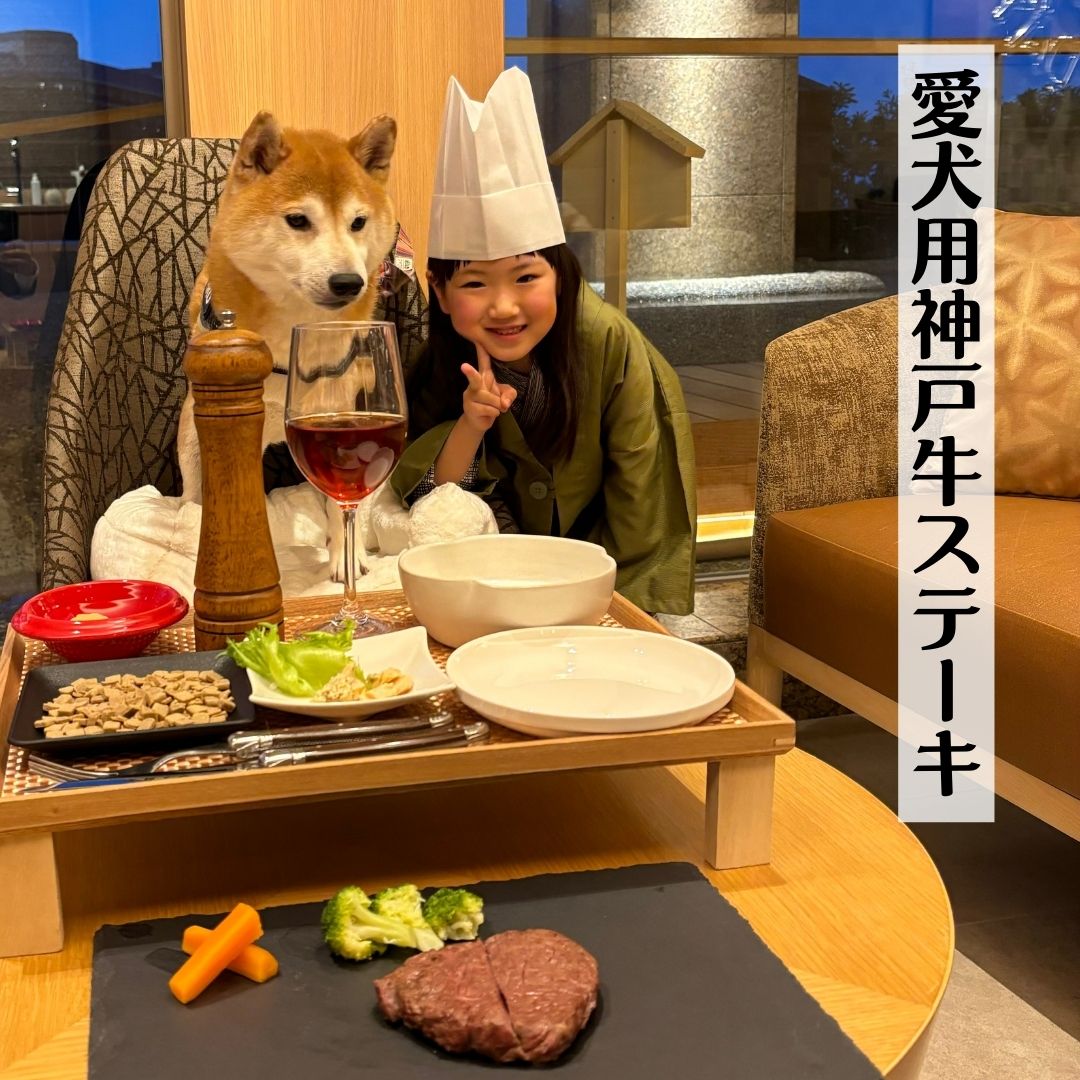 Premiumディナー 『愛犬用神戸牛ステーキコース 販売開始』～ 愛犬の心に刻む最幸の晩餐を ～